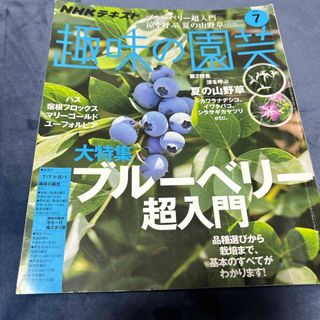 NHK 趣味の園芸 2019年 07月号 [雑誌(その他)