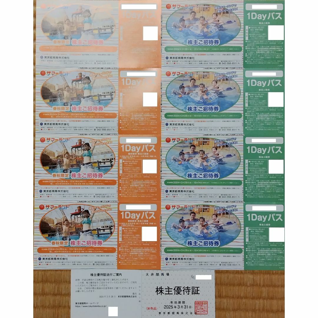 東京都競馬　東京サマーランド　株主優待券 チケットの施設利用券(遊園地/テーマパーク)の商品写真