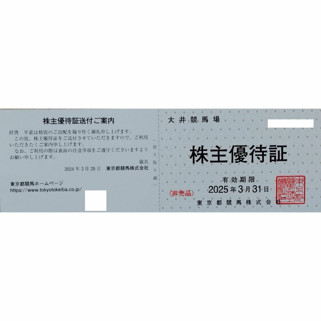 東京都競馬　東京サマーランド　株主優待券 チケットの施設利用券(遊園地/テーマパーク)の商品写真