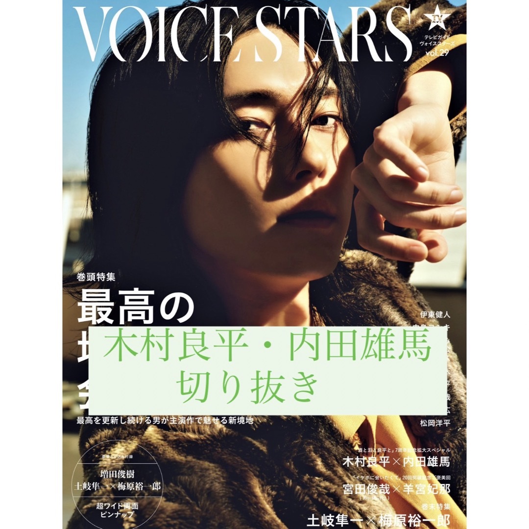 TVガイド VOICE STARS vol.29 木村良平 内田雄馬 切り抜き エンタメ/ホビーの雑誌(音楽/芸能)の商品写真