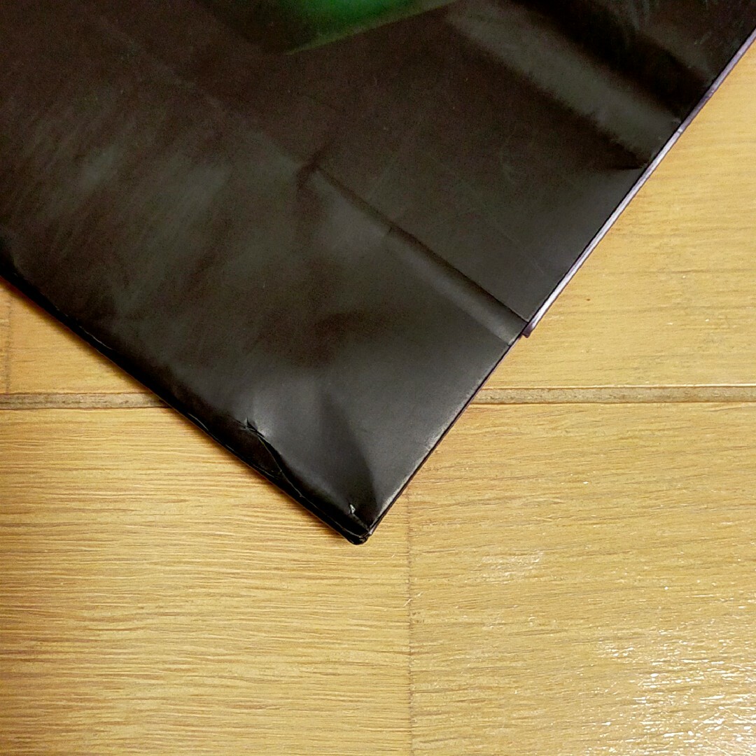 【レア】TLC 3D ショッパー 紙袋 非売品 エンタメ/ホビーのタレントグッズ(ミュージシャン)の商品写真