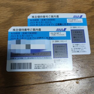 ANA　株主優待券2枚（24年5月末期限）(航空券)