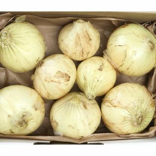 自然栽培 新たまねぎ(1kg)★愛知県産★無肥料・無農薬★自然とともにをテーマに(野菜)