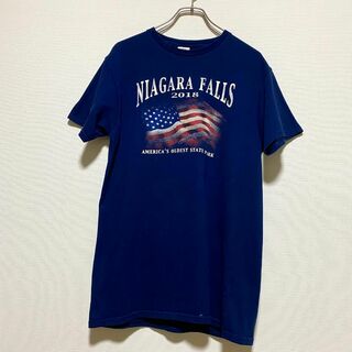 デルタ(DELTA)のアメリカ古着　ナイアガラの滝　半袖Tシャツ　2018年　星条旗　J60(Tシャツ/カットソー(半袖/袖なし))