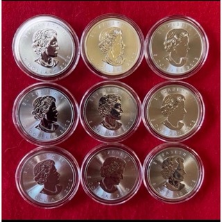 9枚 メイプルリーフ 銀貨 1オンス 2019年(貨幣)
