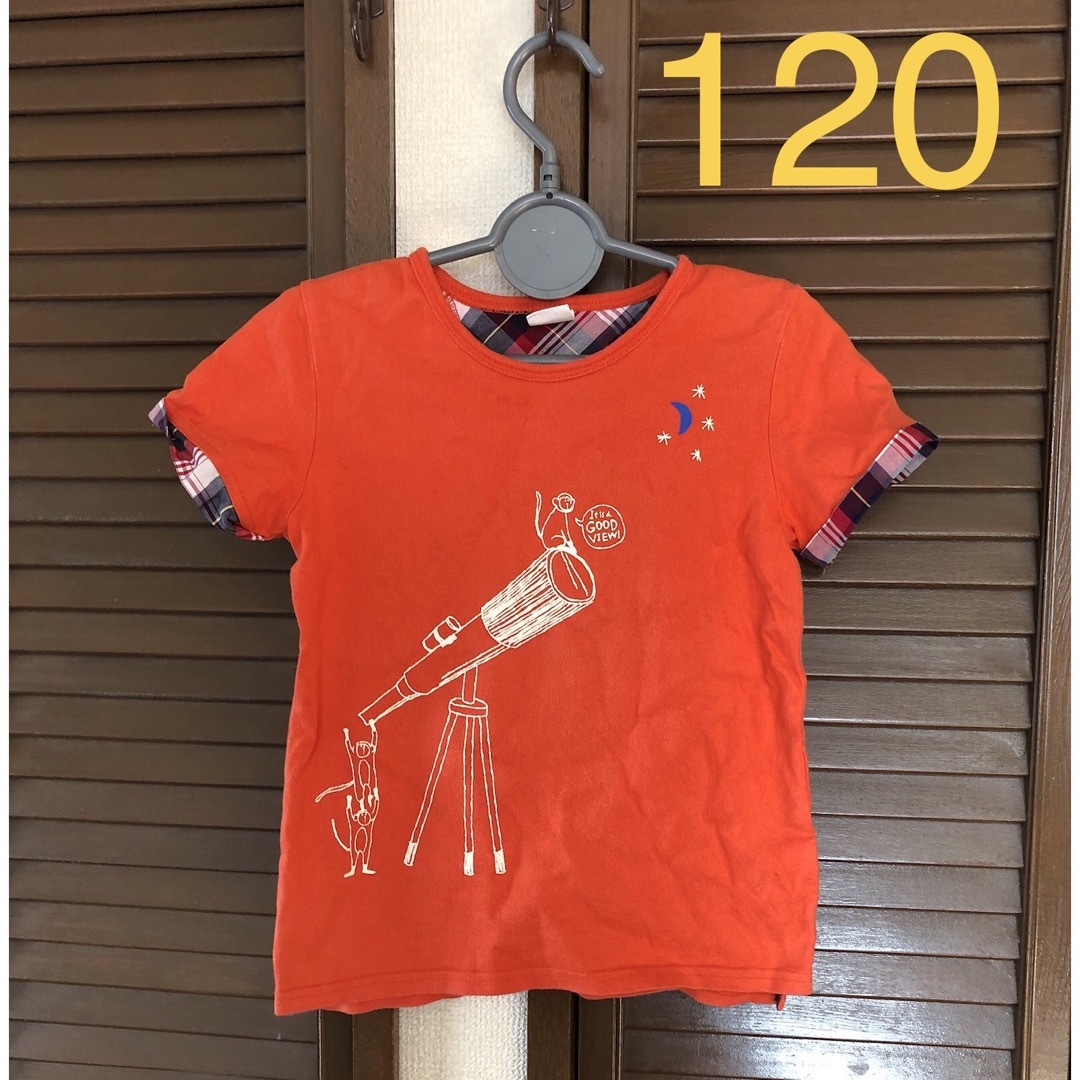 アカチャンホンポ(アカチャンホンポ)の赤ちゃん本舗　tシャツ　120 男の子　キッズ　アカチャンホンポ　望遠鏡　猿　 キッズ/ベビー/マタニティのキッズ服男の子用(90cm~)(Tシャツ/カットソー)の商品写真