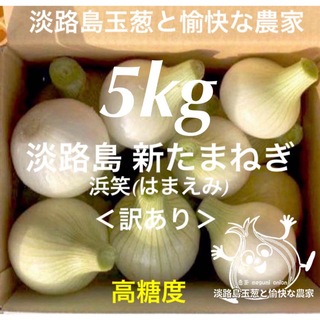 ＜訳あり＞淡路島産新玉ねぎ5kg 高糖度 新玉葱 新たまねぎ (野菜)