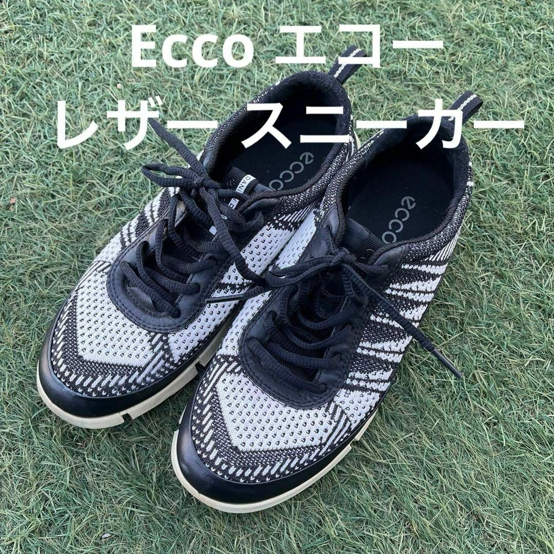 ECCO(エコー)のEcco エコー レザー スニーカー サイズ37 23.5cm レディースの靴/シューズ(スニーカー)の商品写真