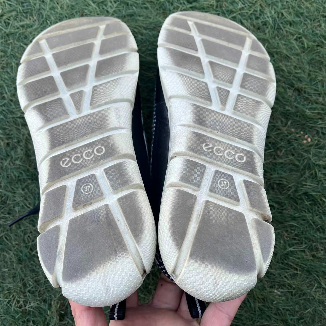 ECCO(エコー)のEcco エコー レザー スニーカー サイズ37 23.5cm レディースの靴/シューズ(スニーカー)の商品写真