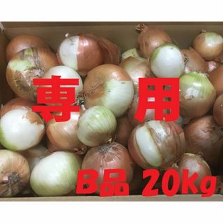 しゅわちゃん様専用　北海道産タマネギ　Ｂ品　20kg　農家直送(野菜)