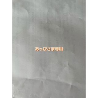 あっぴさま専用(洗顔料)