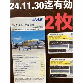 エーエヌエー(ゼンニッポンクウユ)(ANA(全日本空輸))のANA 全日空　株主優待　2枚　&グループ優待券　１１／30迄有効(航空券)