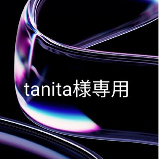 tanita様専用(その他)