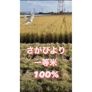 ⭐️新米 令和5年産1等米⭐️佐賀県産さがびより10k(5k×2袋)(米/穀物)