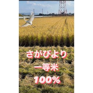 ⭐️新米 令和5年産1等米⭐️佐賀県産さがびより10k(5k×2袋)(米/穀物)