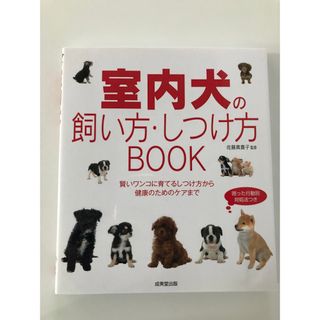 室内犬の飼い方 しつけ方BOOK(犬)