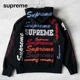 シュプリーム(Supreme)のsupreme シュプリーム マルチカラー  フーディー Mプルオーバーパーカー(パーカー)