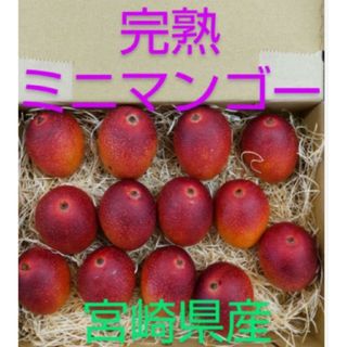 ミニマンゴー　850g~900g前後　【常温発送】　完熟マンゴー　宮崎県産(フルーツ)