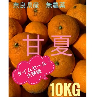 ◆タイムセール◆大特価◆甘夏　奈良県産　100サイズ 約10kg 家庭用(フルーツ)