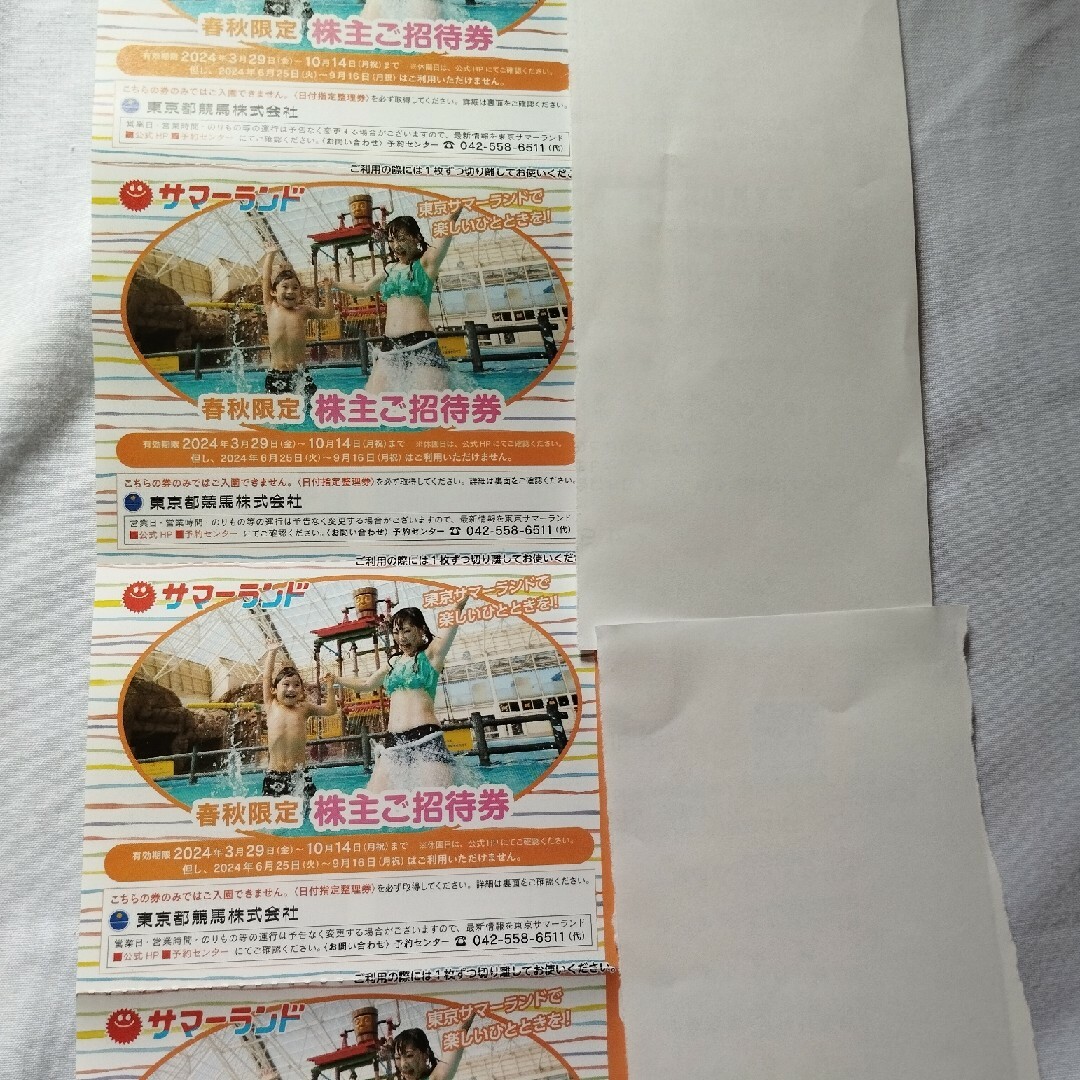 東京サマーランド　春秋用　4枚分　最新版 チケットの施設利用券(遊園地/テーマパーク)の商品写真