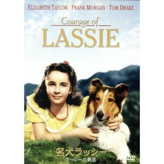 名犬ラッシー／ラッシーの勇気(外国映画)