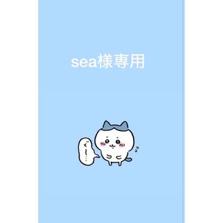 チイカワ(ちいかわ)のsea様専用　オーダーページ(外出用品)