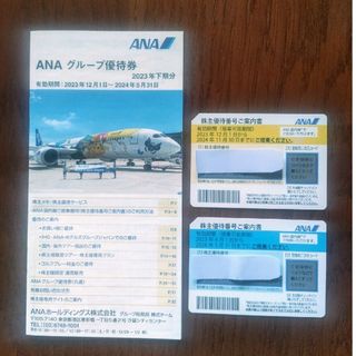 エーエヌエー(ゼンニッポンクウユ)(ANA(全日本空輸))のANA 株主優待券２枚＆グルーブ優待券(航空券)