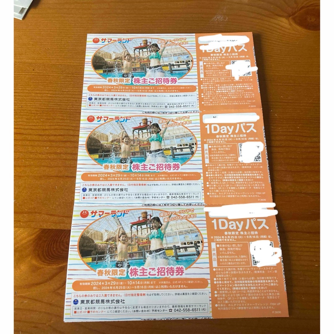東京サマーランド　株主優待 チケットの施設利用券(遊園地/テーマパーク)の商品写真