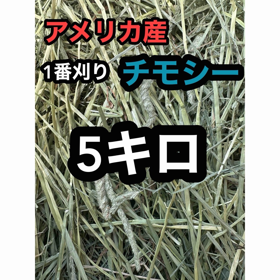 チモシー5キロ　ウサギ モルモット　デグー チンチラ １番刈 その他のペット用品(ペットフード)の商品写真