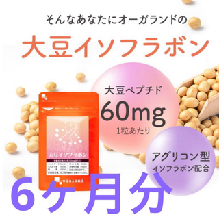 大豆イソフラボン サプリメント ３ヶ月分  2袋(その他)