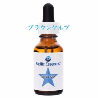 ブラウンケルプ(25ml) パシフィックフラワーエッセンス(その他)