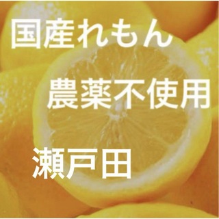 国産瀬戸田レモン農薬不使用(フルーツ)