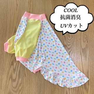 犬服　大型犬　4L　ウォーターCOOL　貝殻×YE袖　八分袖　ワンピ風