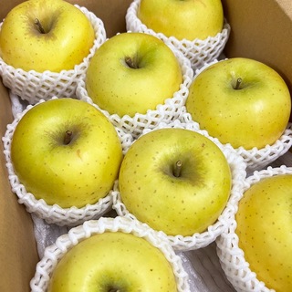 長野県産　黄色りんご　シナノゴールド　約3kg分(フルーツ)