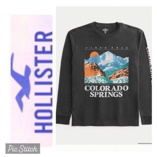 ホリスター(Hollister)の割引あり◎M◎新品正規品◎ホリスター◎HOLLISTER ◎ロングTシャツ送料込(Tシャツ/カットソー(七分/長袖))