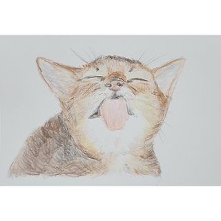 『猫』動物画(1)色鉛筆画。ペット。手描きイラスト。ポストカード。(アート/写真)