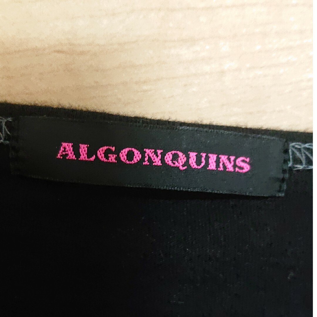 ALGONQUINS(アルゴンキン)のALGONQUINS ドレープカットソー レディースのトップス(カットソー(長袖/七分))の商品写真