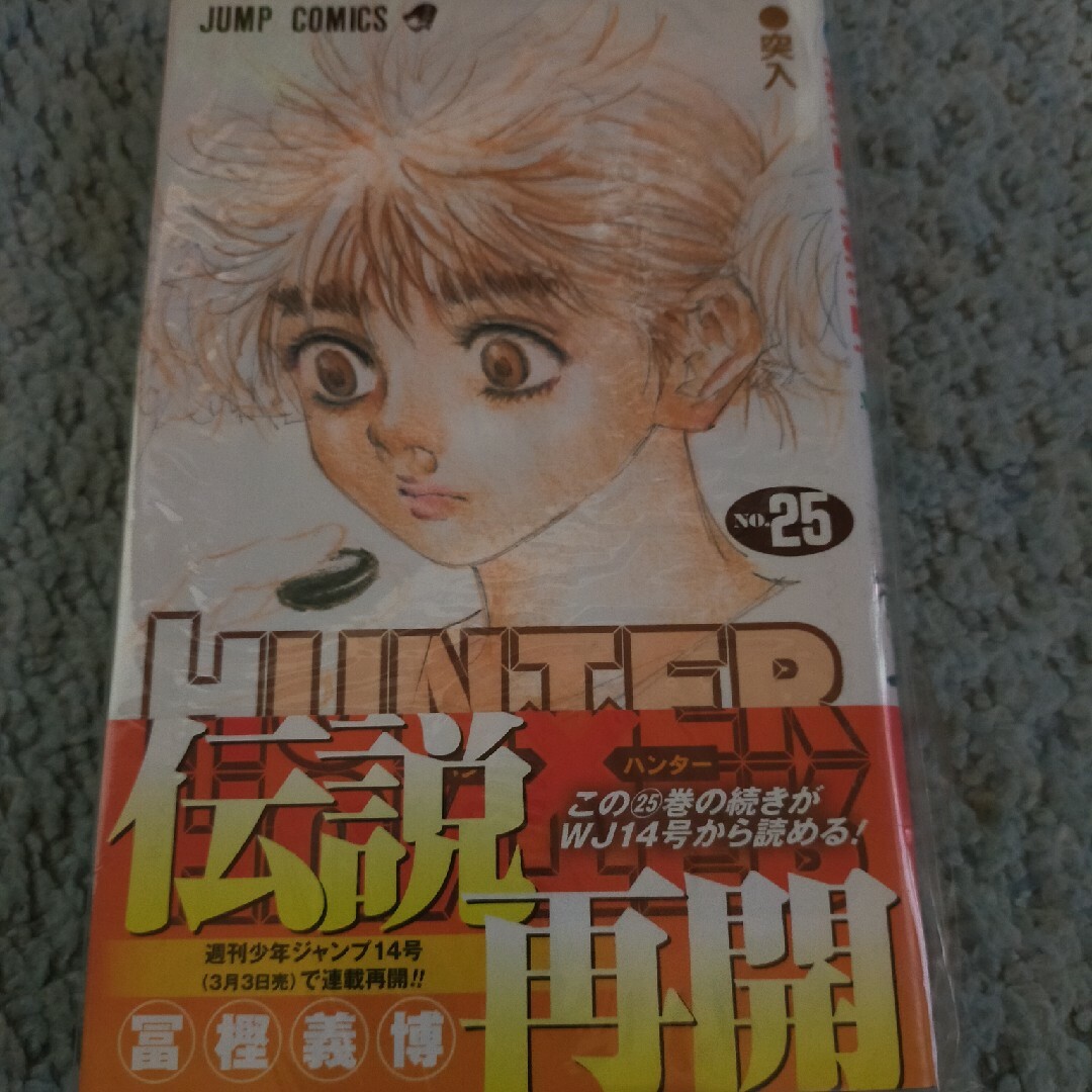 ＨＵＮＴＥＲ×ＨＵＮＴＥＲ エンタメ/ホビーの漫画(その他)の商品写真