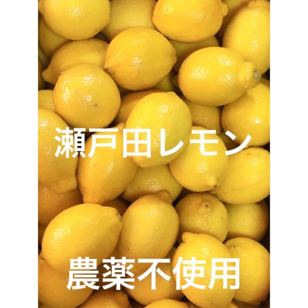 ②国産瀬戸田レモン 食品/飲料/酒の食品(フルーツ)の商品写真