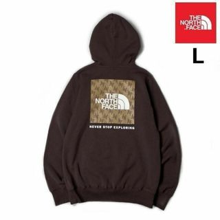 ザノースフェイス(THE NORTH FACE)のノースフェイス パーカー バックプリント US限定 (L)茶 181130(パーカー)