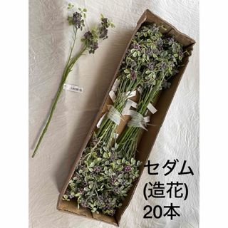 【造花】セダムスプレー 20本まとめ売り【フェイクフラワー】(その他)