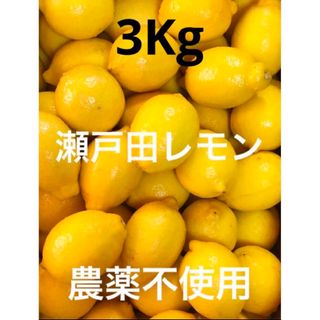 ❸国産瀬戸田レモン3Kg(フルーツ)