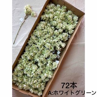 【造花】アーティフィシャルフラワー 72本まとめ売り【フェイクフラワー】(その他)