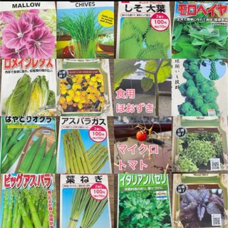 【4月がまきどき！野菜とハーブ　7種】この中から7種類選べます♪(その他)