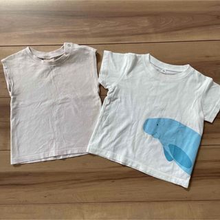 プティマイン(petit main)のベビー男の子トップス80㎝　2着（難あり）(Ｔシャツ)