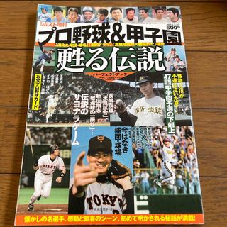 プロ野球&甲子園 甦る伝説 2015年 3/23号 [雑誌](趣味/スポーツ)