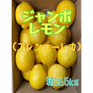 ジャンボレモン（アレンユーレカ）箱込み5kg(フルーツ)