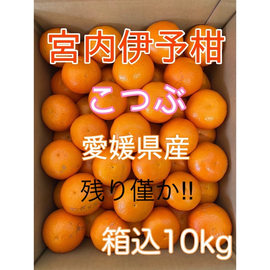 残り僅か‼︎】愛媛県産 宮内伊予柑 小粒（2S）箱込み10kgの通販 by ら