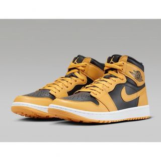 ジョーダン(Jordan Brand（NIKE）)の28.5 Nike Air Jordan 1 GOLF DQ0660-700(シューズ)