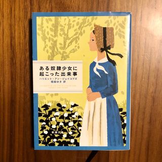 ある奴隷少女に起こった出来事(文学/小説)